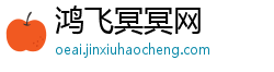 鸿飞冥冥网